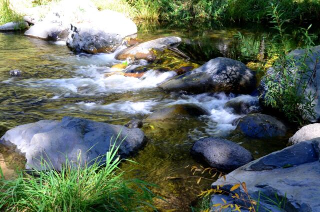 Junipine Creek views (17)