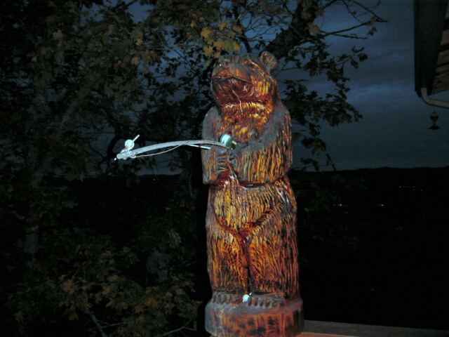 fishing-bear