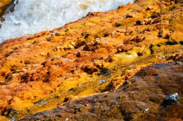 Excelsior Geyser runoff stream (9)