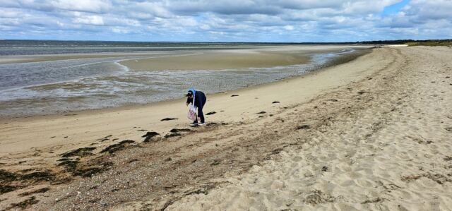 Mayflower Beach 05