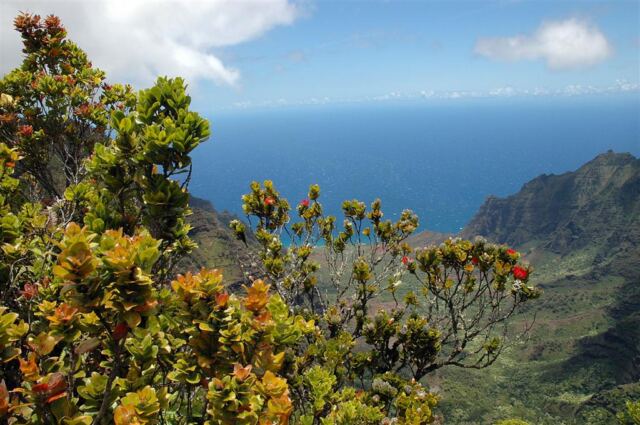 Kalalau Valley (48)