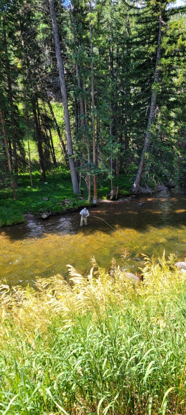 Fly fishing 2