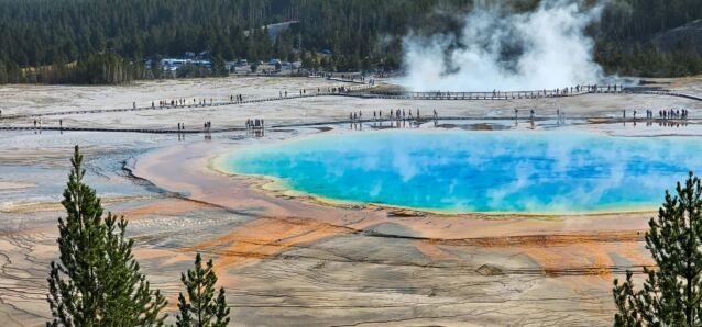 Grand Prismatic Spring from overlook (3)