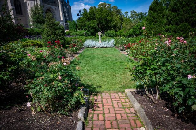 Bishop's Garden 11