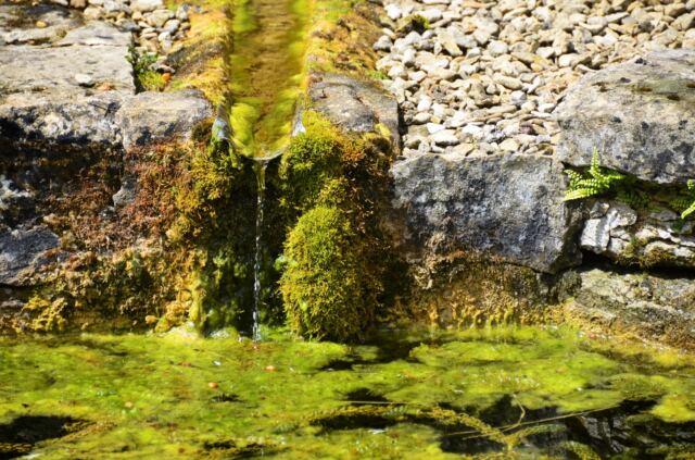 Chedworth Roman Villa - water source and Roman temple (7)