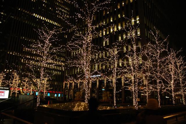 NYC decorations (2)