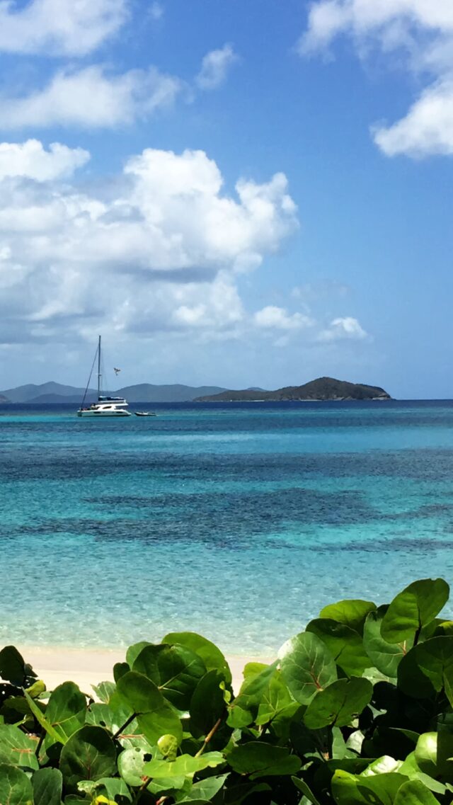 Mahoe Bay catamaran