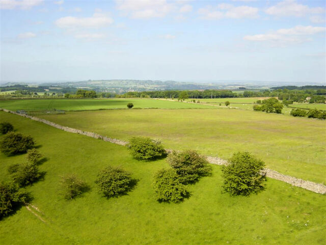 Cotswold vista (2)