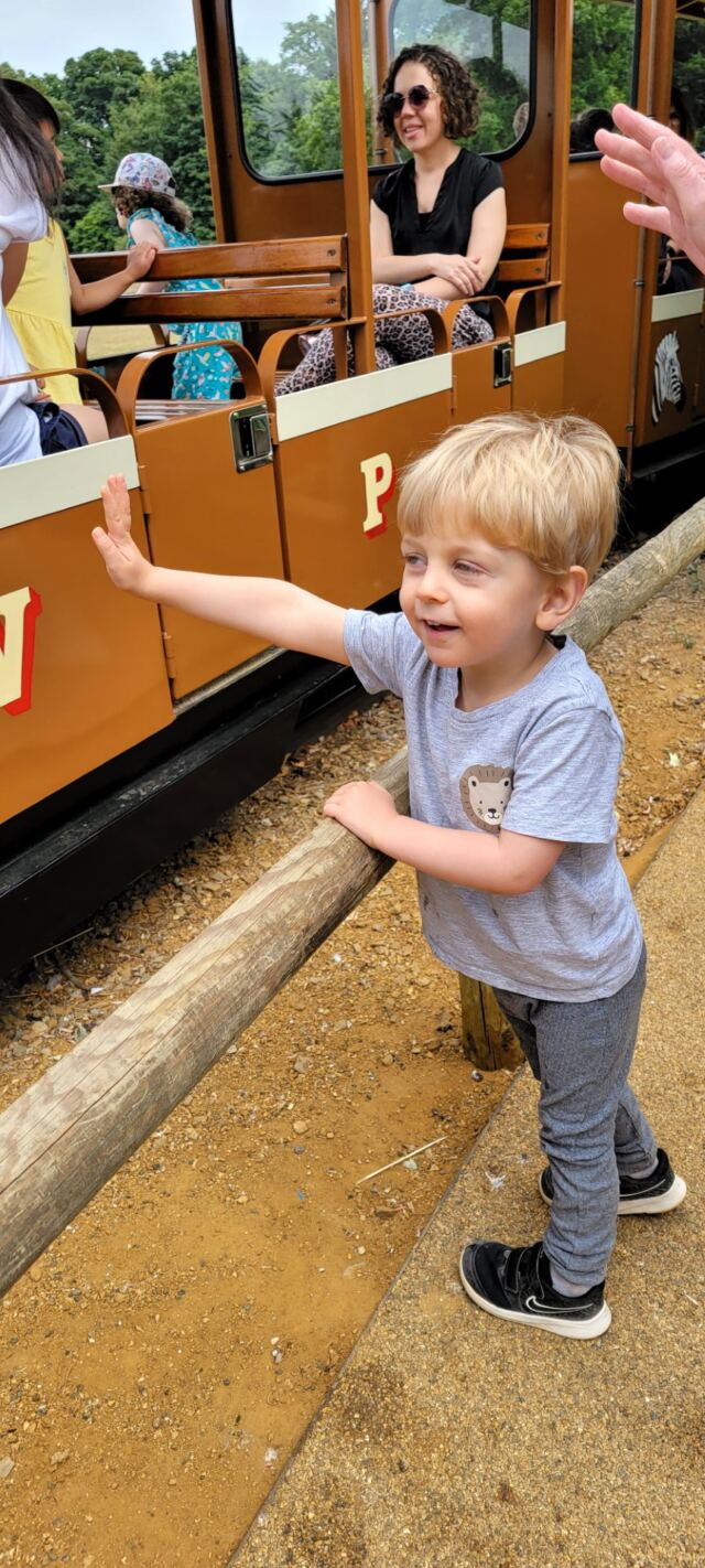 Cotswold Wildlife Park - train ride (5)