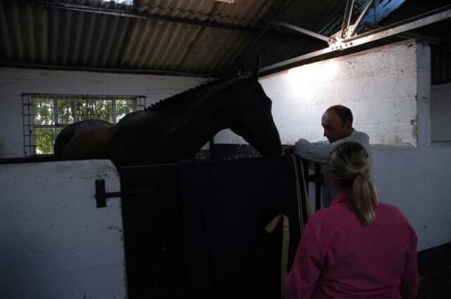 Melanie inside Little Charingworth Stud stables (3)