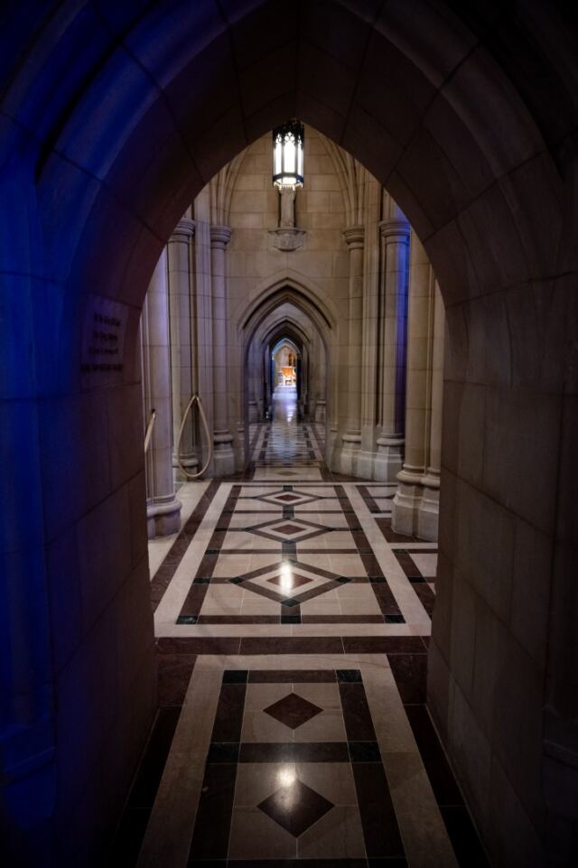 Cathedral interior 3