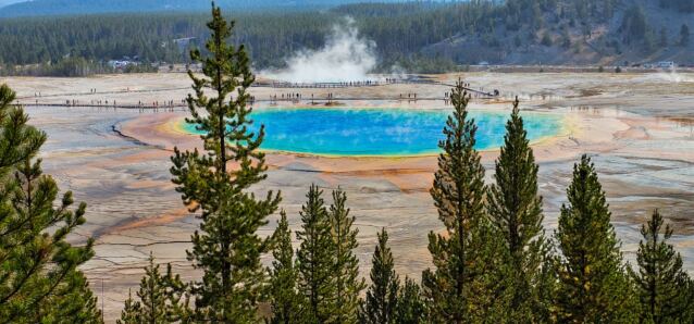 Grand Prismatic Spring from overlook (6)