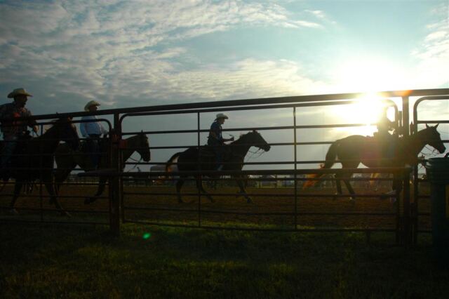 early-morning-cowboys
