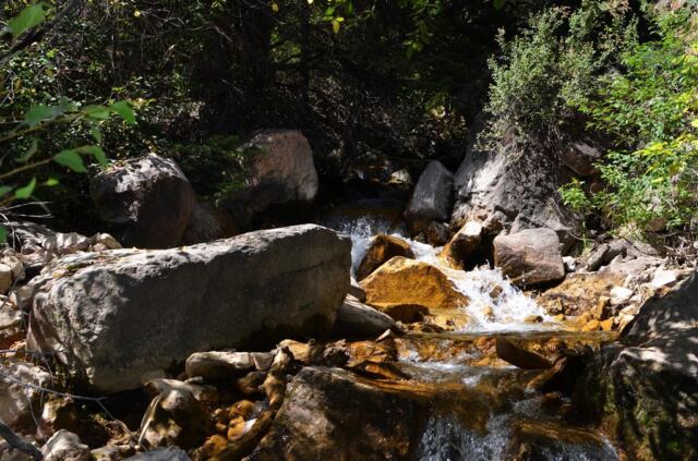 Pathside stream (1)