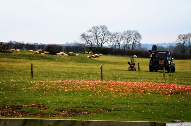 Edge Hill shooting range (4)