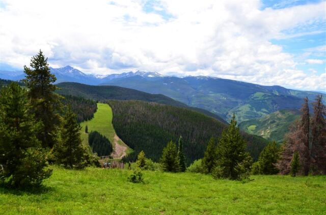 Ridge Route views (4)