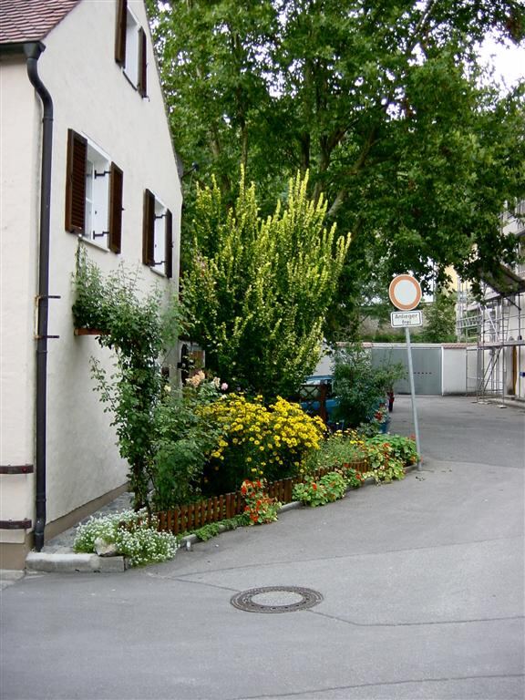 pretty-flowers-in-berlengenfeld