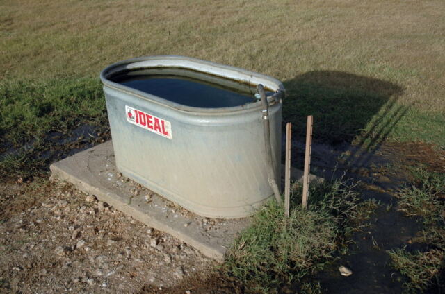 watering-trough