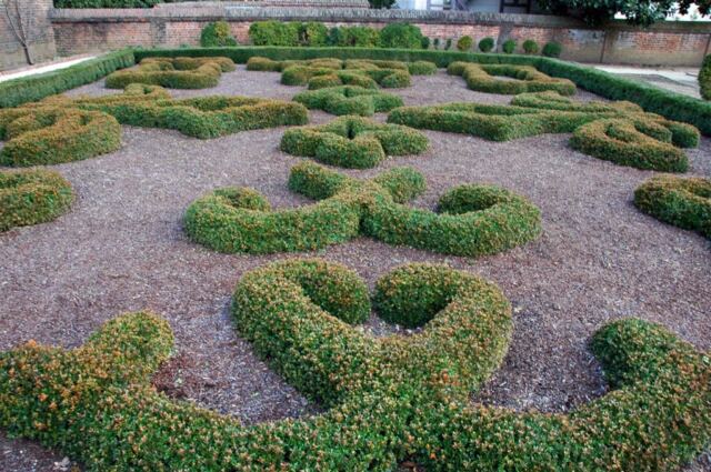 Sculpted hedges (2)