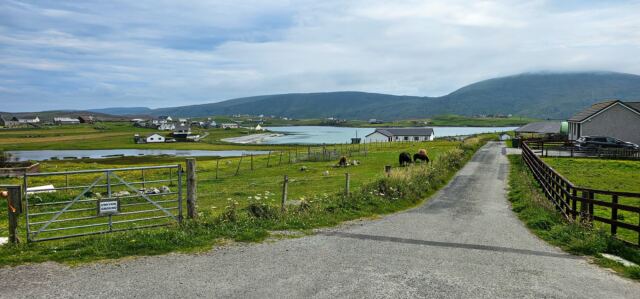 The Shetland Pony Experience 31