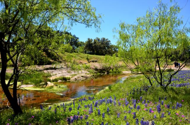 Willow Loop valley 23