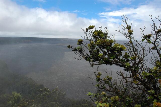 Steaming bluffs