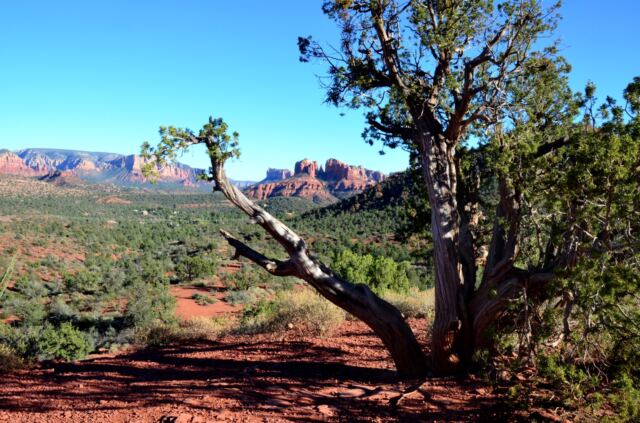 Cathedral Rock - vista views (11)