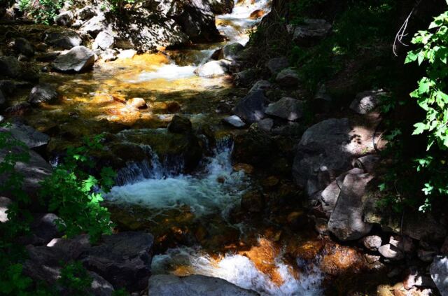 Pleasant stream at trailhead