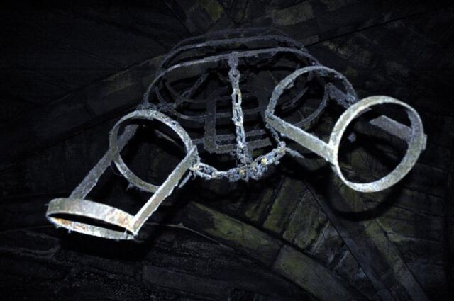 Torture harness (2)
