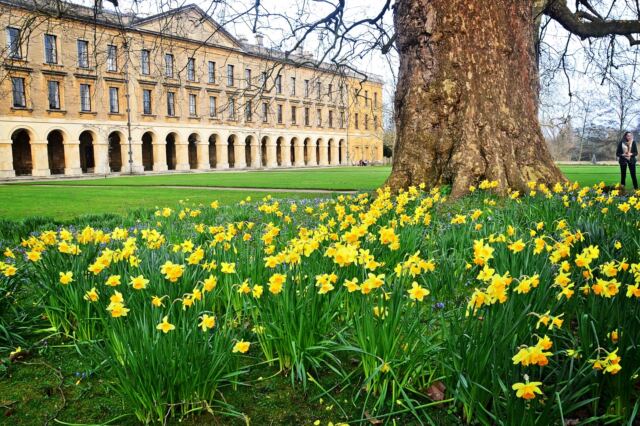 Magdalen College - Oxford (9)