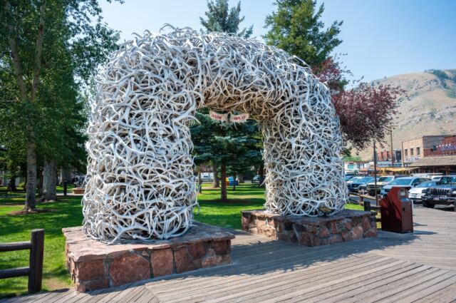 Jackson Antler Arches (2)