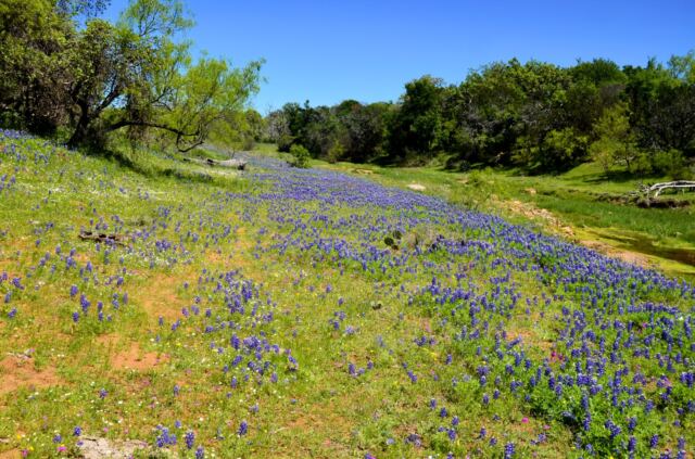 Willow Loop valley 21