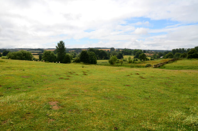 Chipping Campden sheep fields (04)