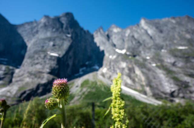 Trollveggen 01