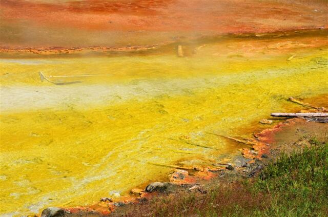 Sulfur stream from Imperial Geyser (5)