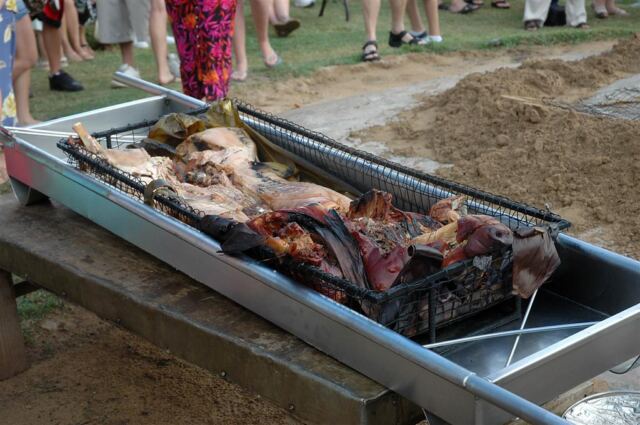 Mr. Pig (1)