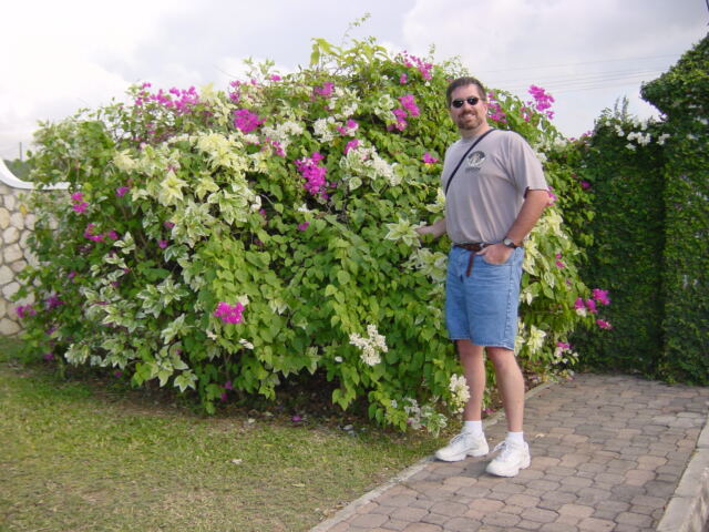 Roger and the flowers