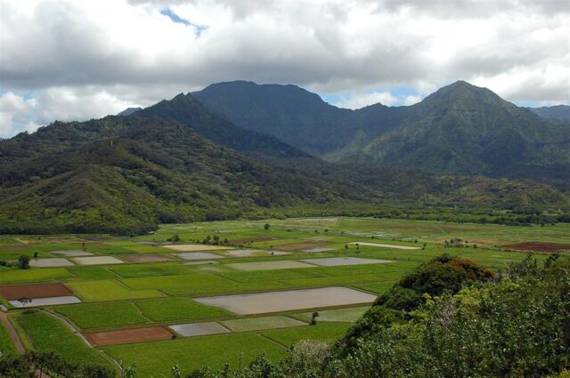 Hanalei Valley (4)