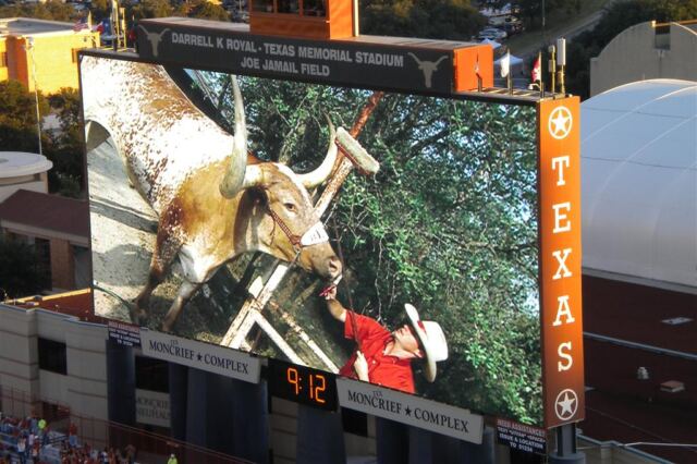 Giving Bevo a shave