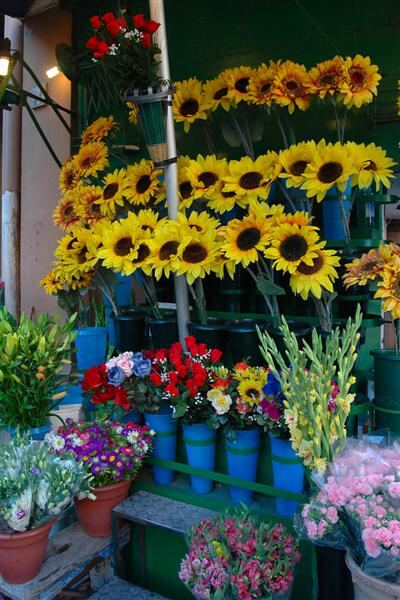 Colorful flower shop