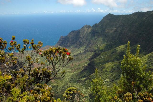 Kalalau Valley (46)