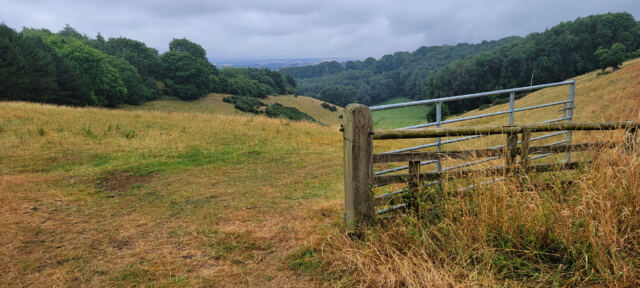 Cotswold views from Foxcote Hill (01)