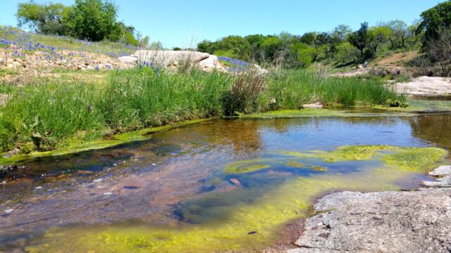 Willow Loop valley stream