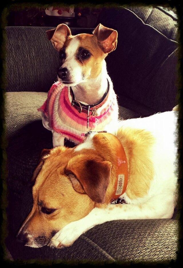 tired-pippa-and-kate-new-year-s-day-2014