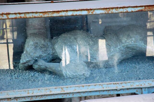 Pompeii - body casts (9)