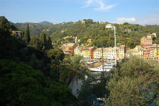 Portofino trees from San Giorgio