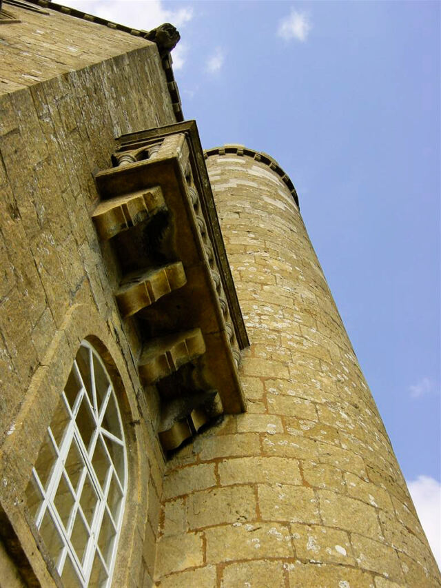 Looking up (2)