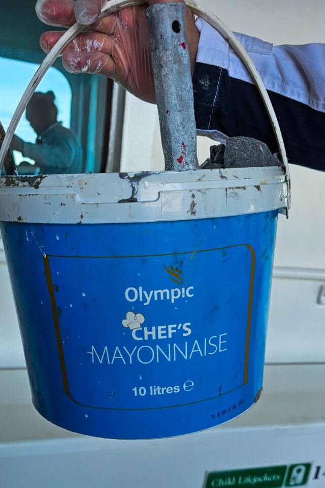 Chef's Mayonnaise